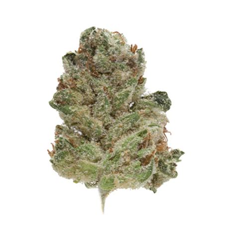 best terrapin strains|Terrapin Care Station: GG